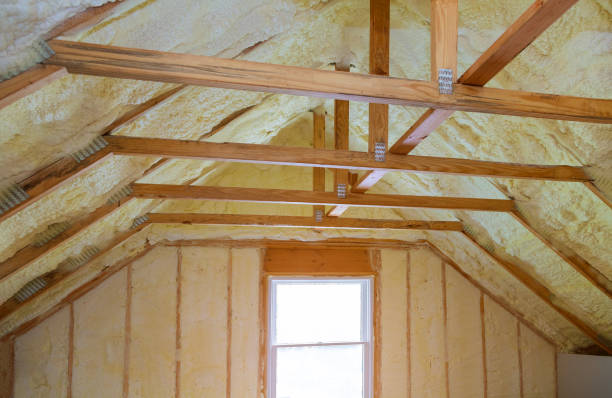 Best Residential Insulation in Pine Ridge, FL