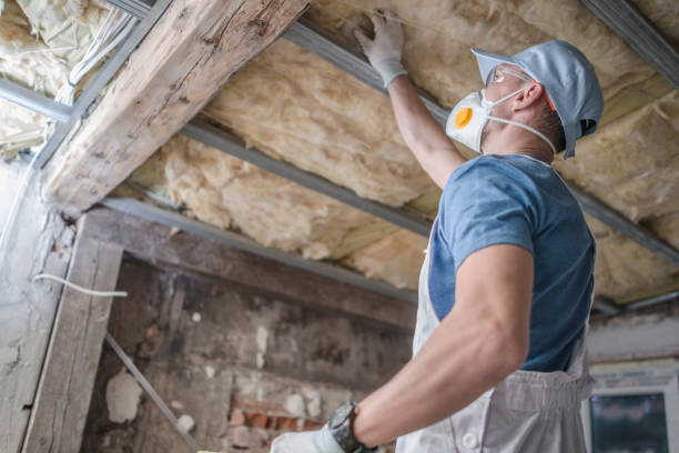 Best Insulation for Specific Applications in Pine Ridge, FL