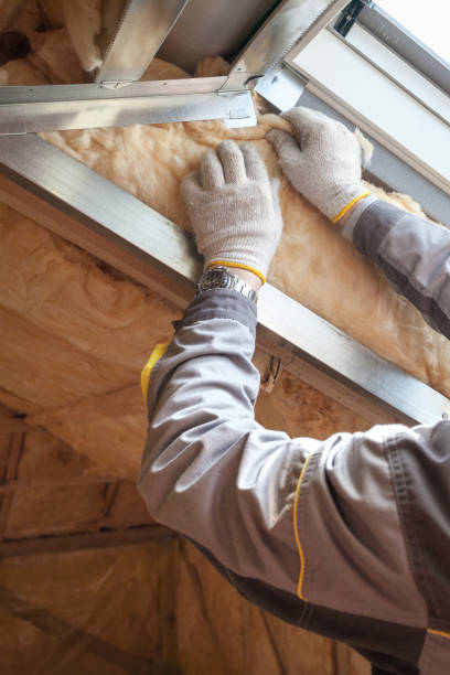 Types of Insulation We Offer in Pine Ridge, FL