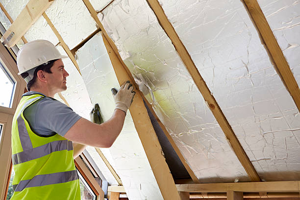Best Specialized Insulation Services in Pine Ridge, FL