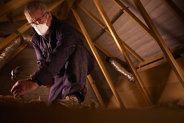 Best Spray Foam Insulation in Pine Ridge, FL